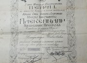 Сребрна медаља за ревносну службу Владимир Живковић