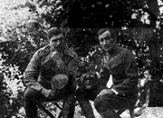 Солунски фронт, Добро поље 1918