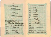 Војислав Шикопарија, Пасош 2/5 - учесник Првог светског рата